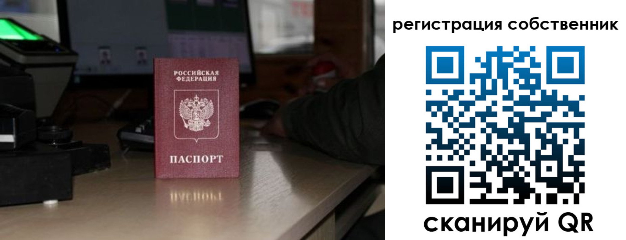 прописка поиск в Плавске